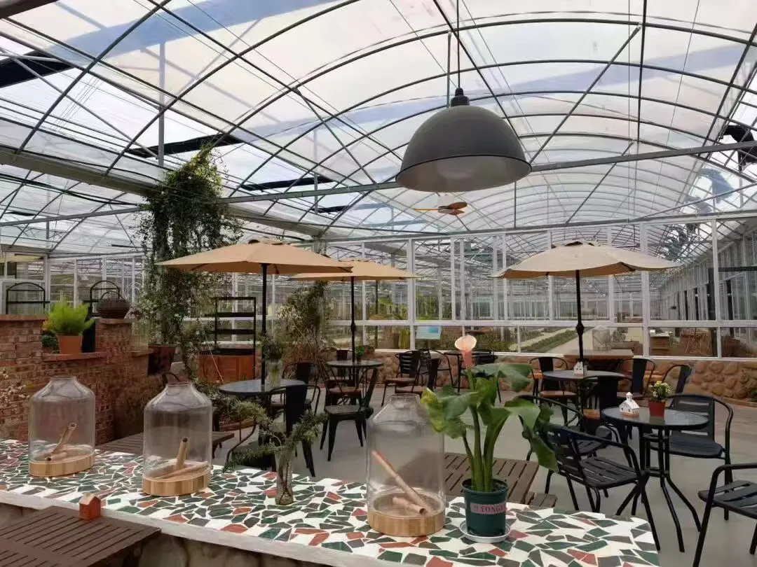 假日赴知音之約 武漢蔡甸多彩文旅點亮五一假期