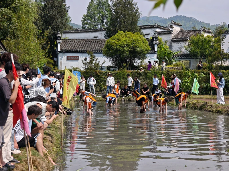 皖黟縣：穀雨潤萬物 西遞「開秧門」
