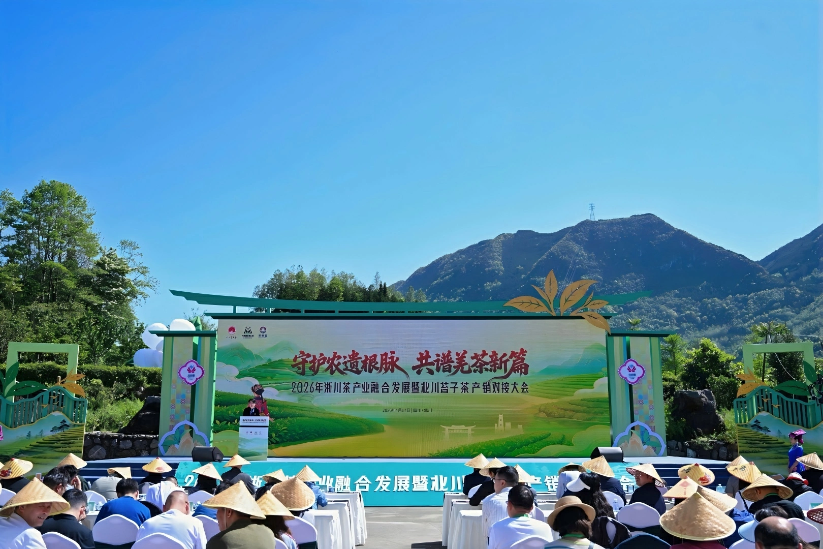 簽約賦能產業升級 北川苔子茶激活鄉村振興 「茶動力」