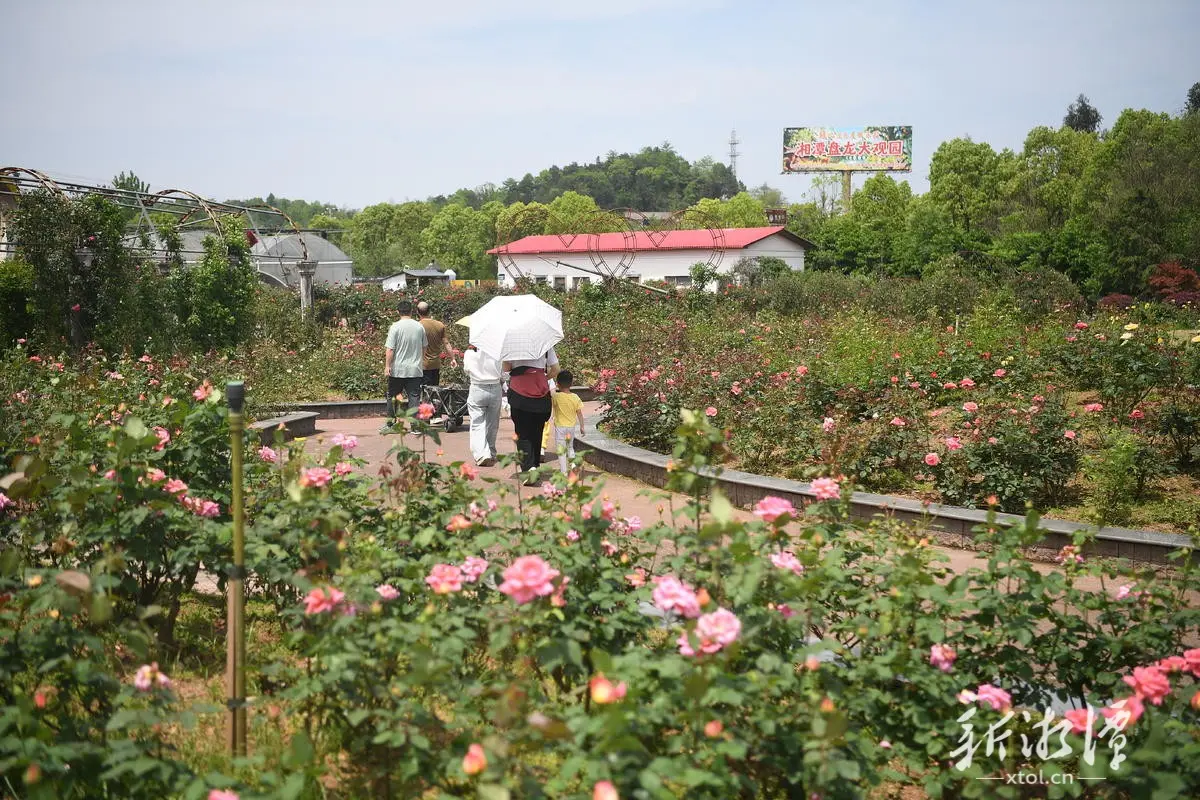 踏青尋味正當時！湘潭市舉行「踏青潮玩 吃在湘潭」活動