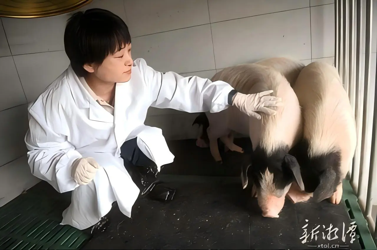 第六屆湖南旅遊發展大會|這群青年，有個共同的名字——「新湘潭人」