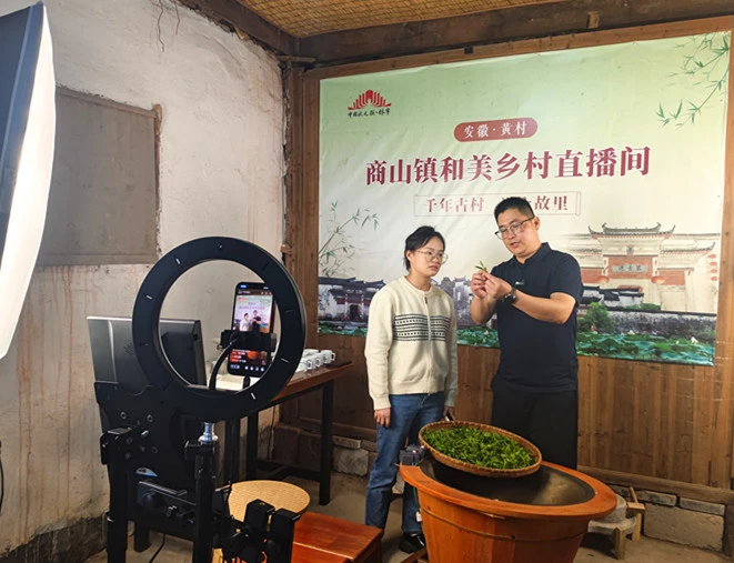 皖休寧商山鎮：雲端品春茶 匠心傳新聲
