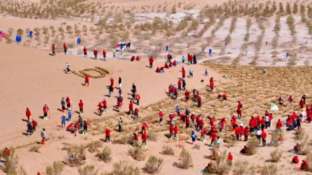 長安啟源發布五年計劃：助力甘肅民勤5萬畝綠洲鎖邊林帶建設