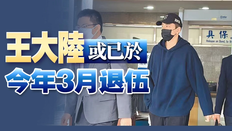 王大陸一審被判6個月