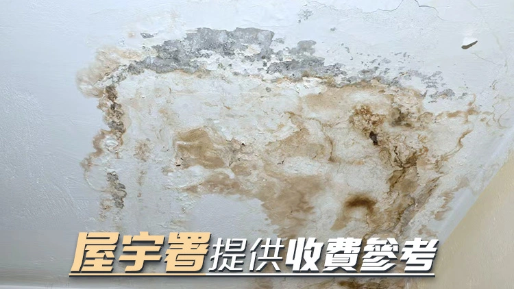 食環署：引入滲水新檢測程序 冀加快業主維修