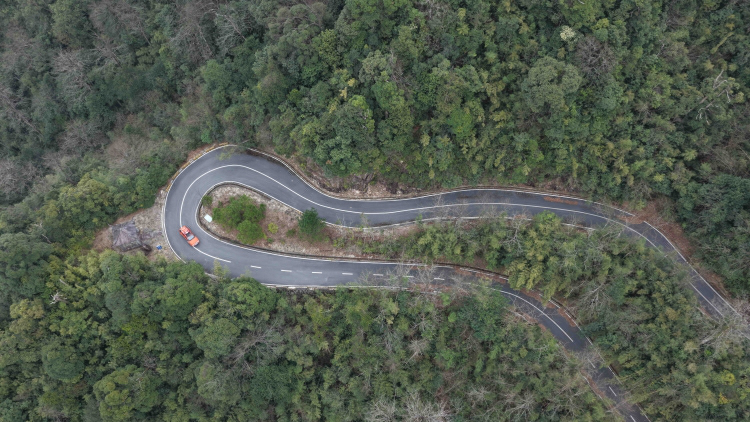 廣東森林覆蓋率達53.39% 累計完成林分優化74.21萬公頃