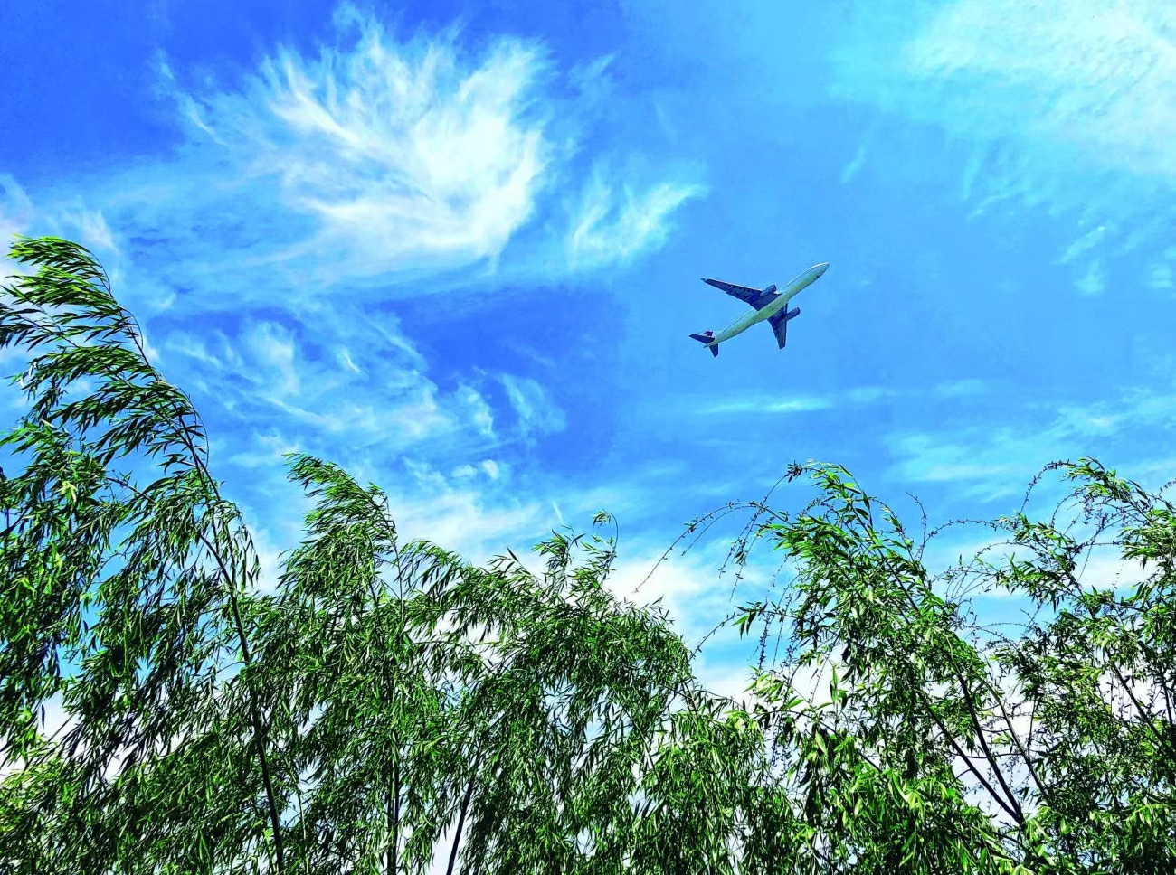 中國東航：以綠色飛行繪就可持續發展新藍圖