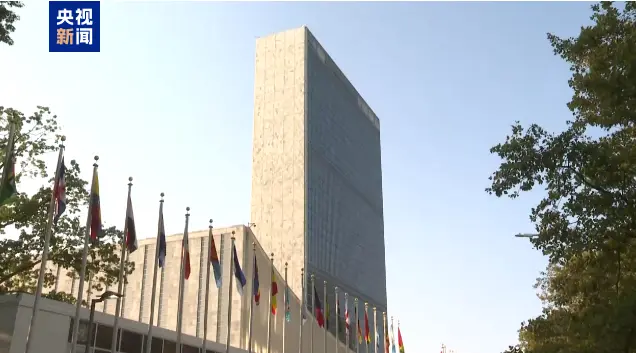 聯合國證實一名法國籍維和人員在黎南部遇襲身亡