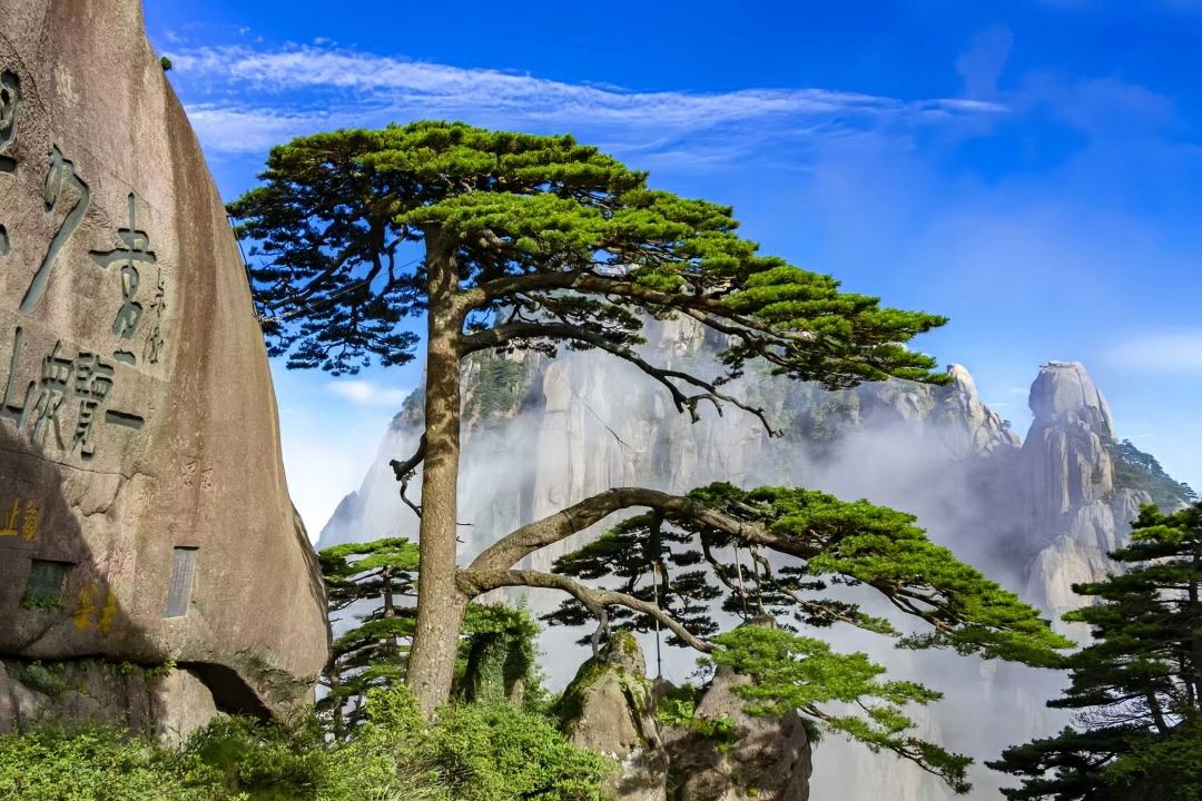 安徽以科交會為橋培育新質生產力