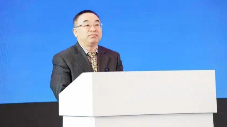 免去王文靈的全國社會保障基金理事會副理事長職務