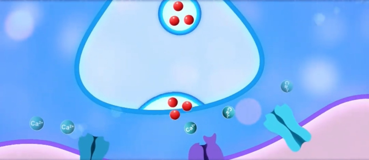 有片｜我國科學家找到一個潛在的阿爾茨海默病「干預開關」