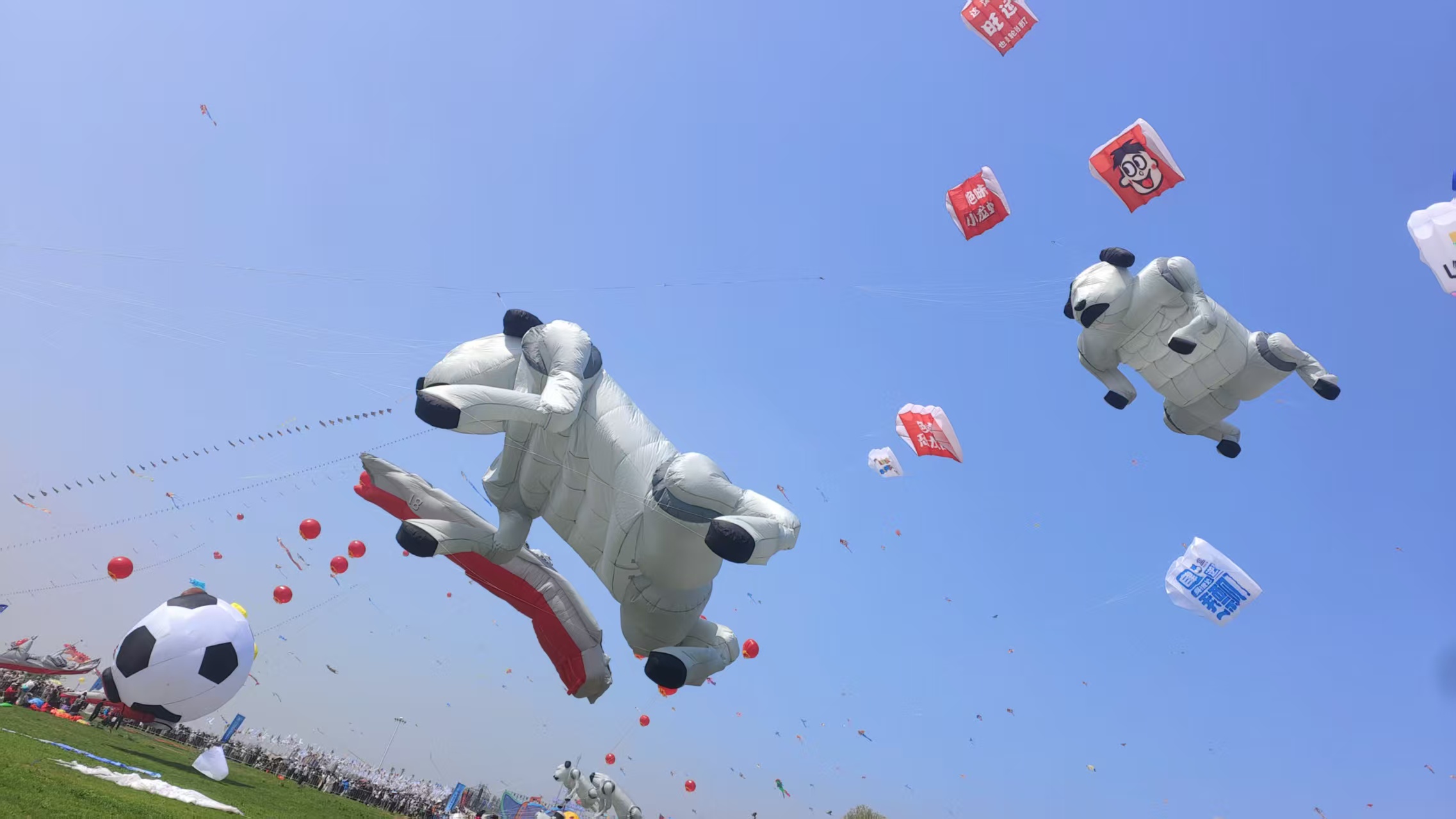 千年技藝科技賦能，全球85%風箏濰坊製造