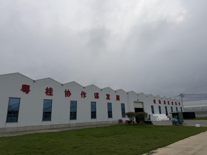 大灣區“菜籃子”將繼續裝滿廣西“好味道”！粵桂協作考察團攜灣區產業之力踏訪八桂大地