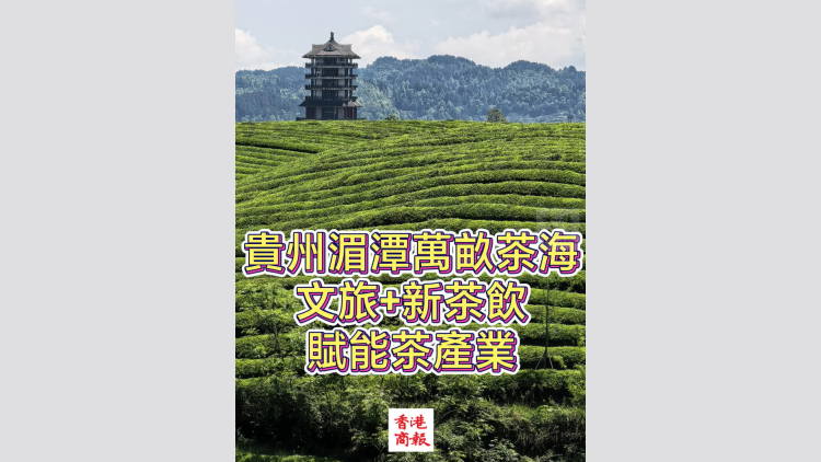 有片丨貴州湄潭萬畝茶海 文旅+新茶飲 賦能茶產業