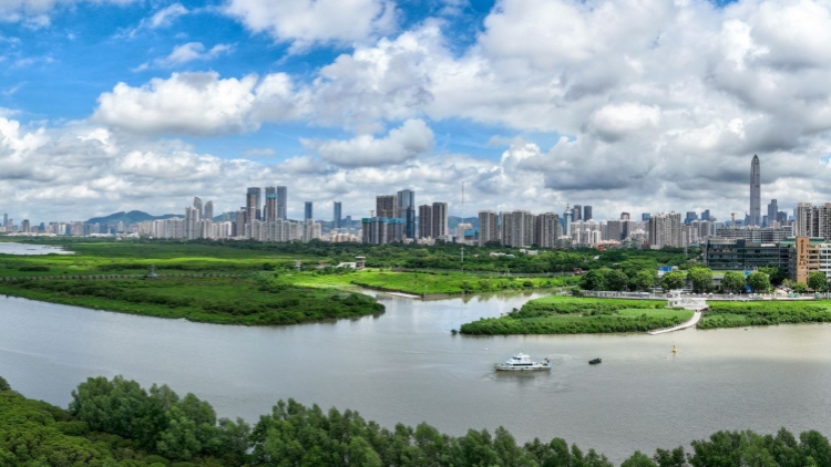 深圳吸引外資勢頭強勁