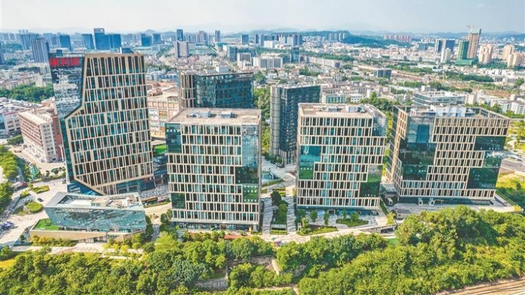 「賣家熱帶雨林」景觀在深出現 全國首個區級跨境電商指數發布