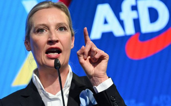 民調機構：德國選擇党支持率創新高 