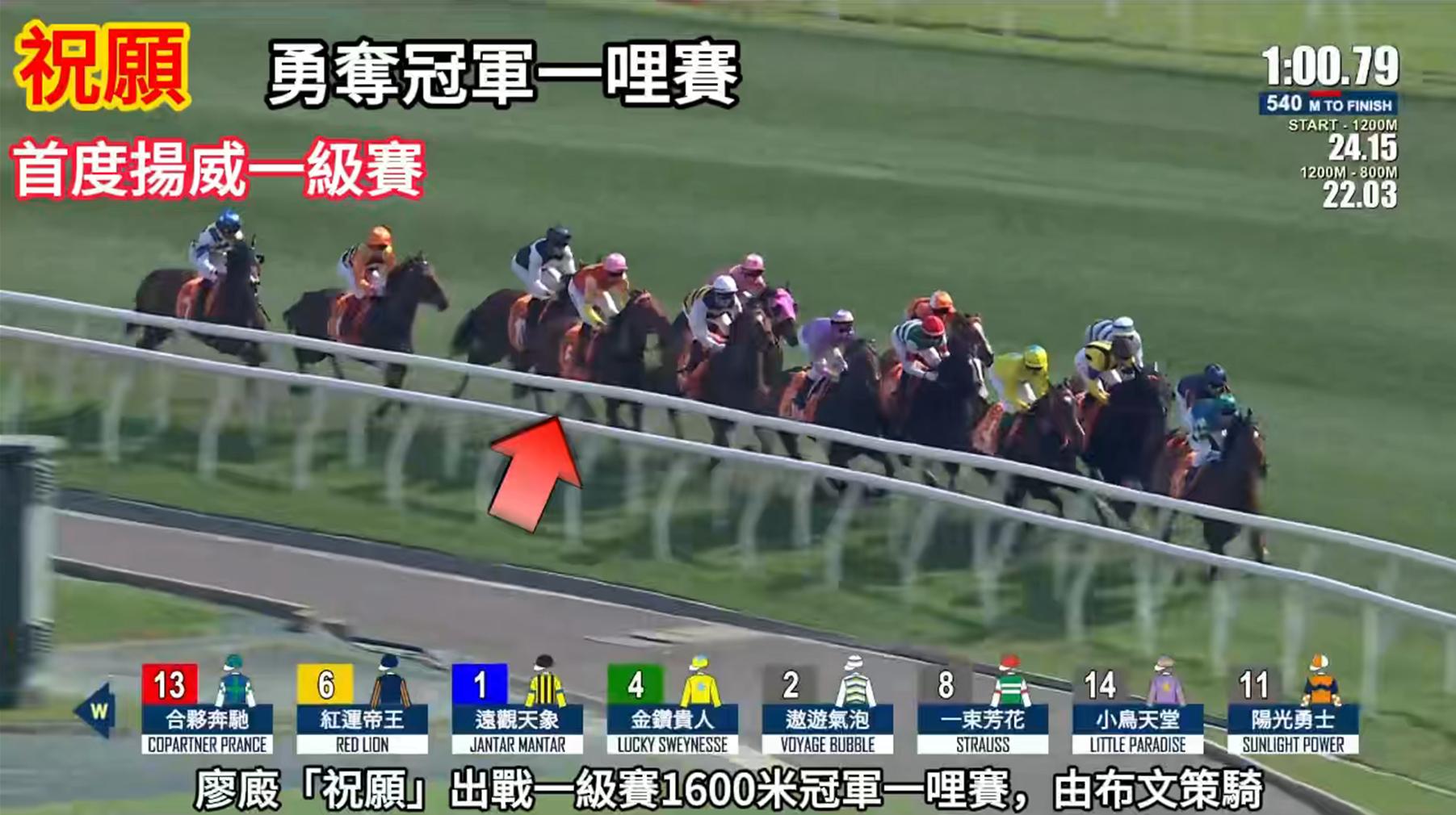 有片丨力拒百賀飛駒來犯 祝願勇奪冠軍一哩賽