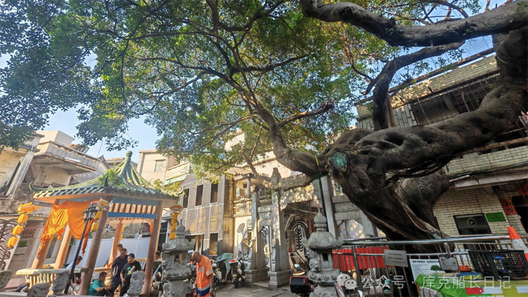 港深地名故事｜宋朝深圳的鹽場颱風和海盜