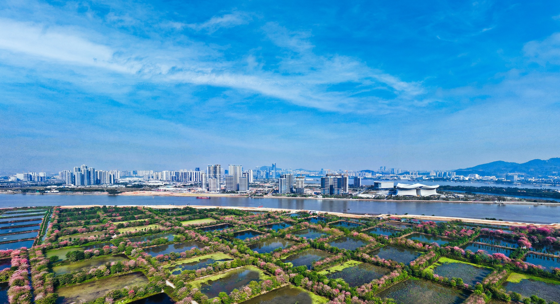 按200年一遇防洪標準設計  廣州南沙橫瀝島尖北岸生態堤主體完工  230種植物構建濱海韌性綠廊