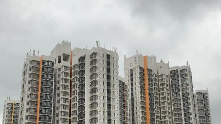 【就是敢言】園圃融入社區 青年共融共建