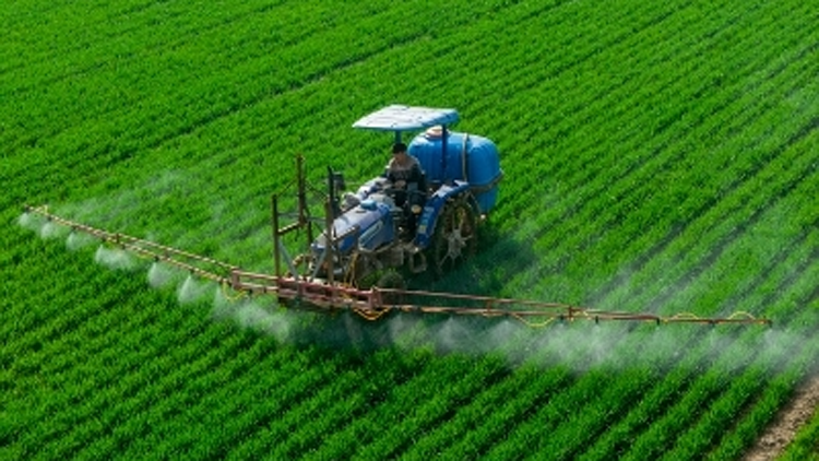 中國擬修訂農業法加快建設農業強國