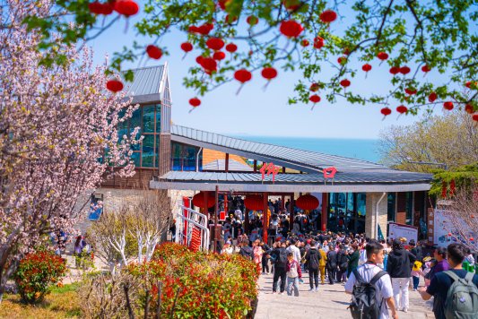 「五一」假期  青島嶗山邀你一站式微度假