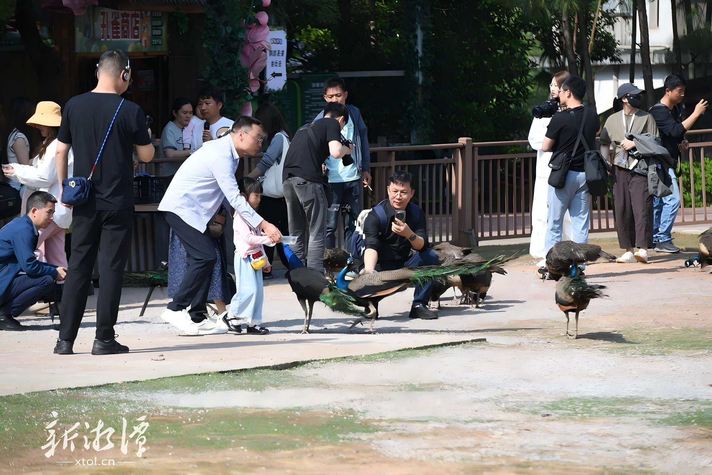 國省市媒體深度探訪「紅色熱土 青春湘潭」