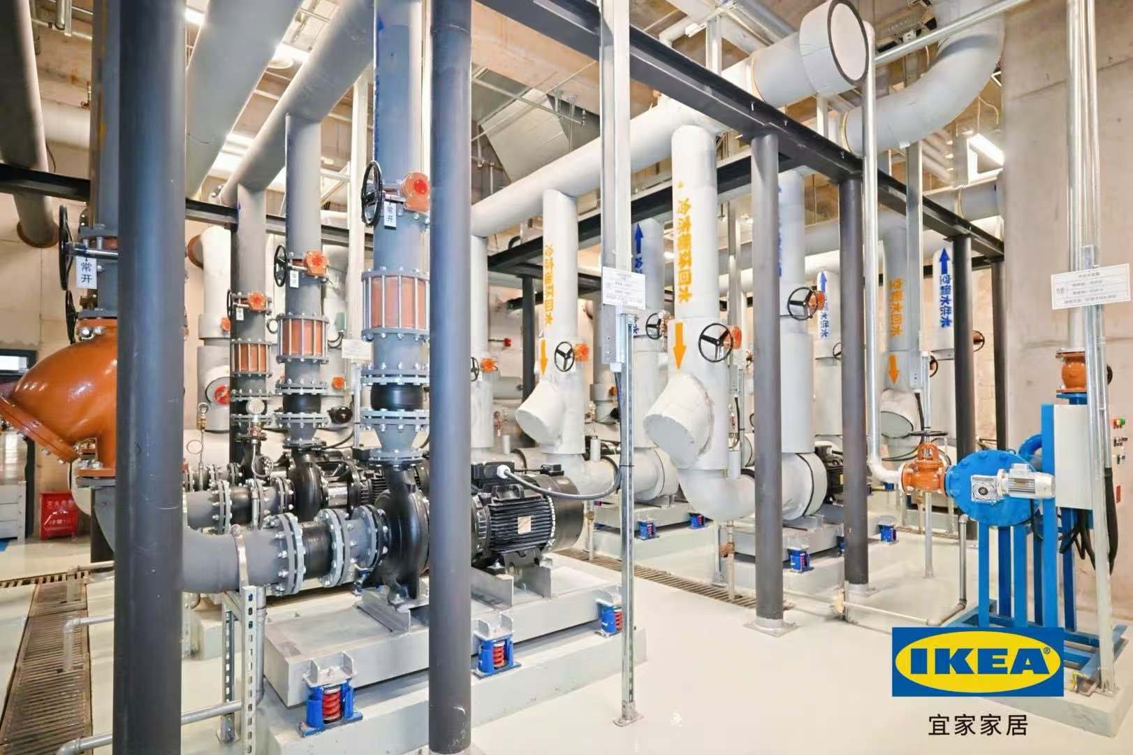 來雲南宜家家居「澆」個朋友,一起「紮根」綠美春城