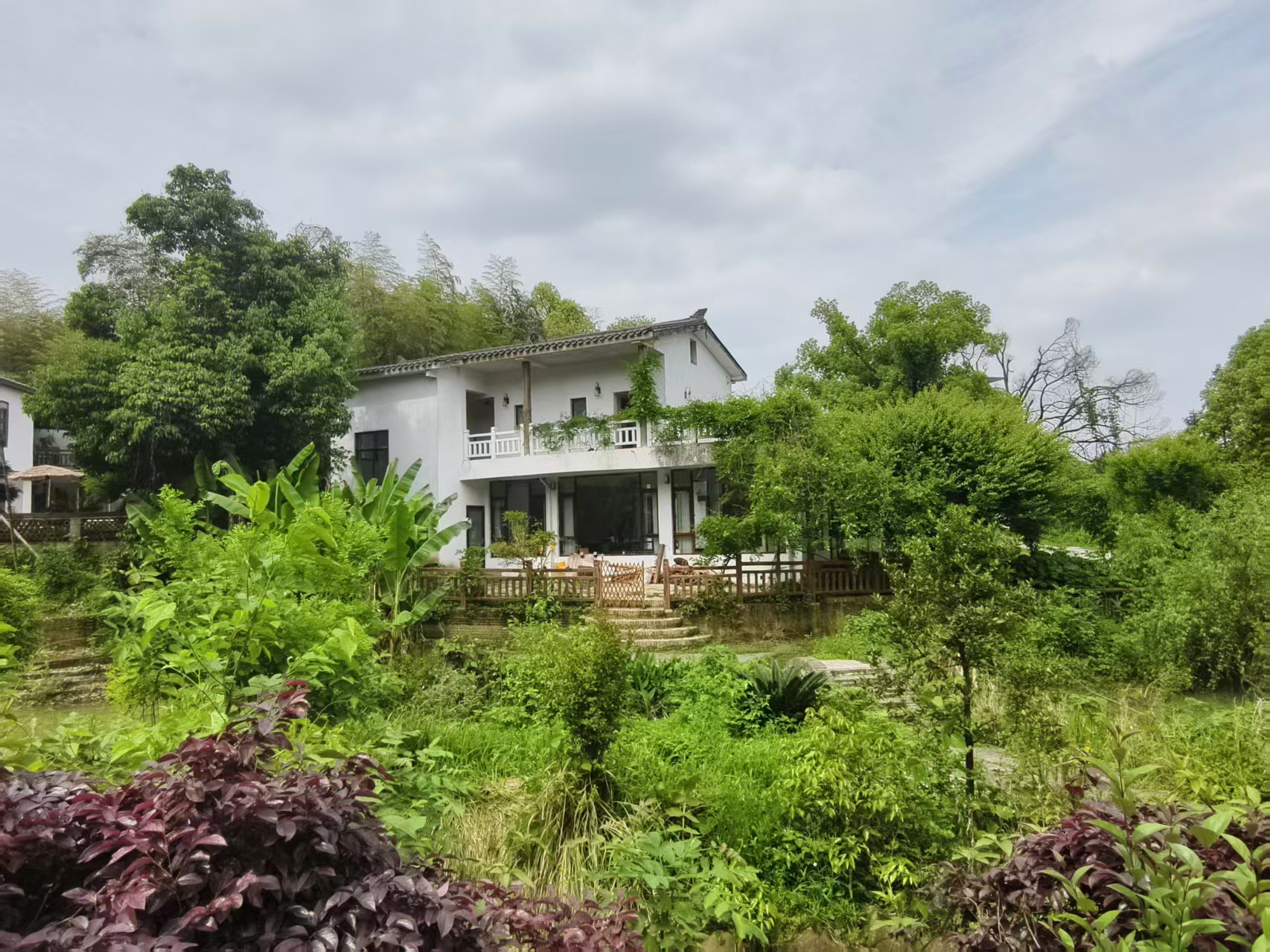 隱匿都市近郊的田園秘境 望城彩陶源村打造文旅新名片