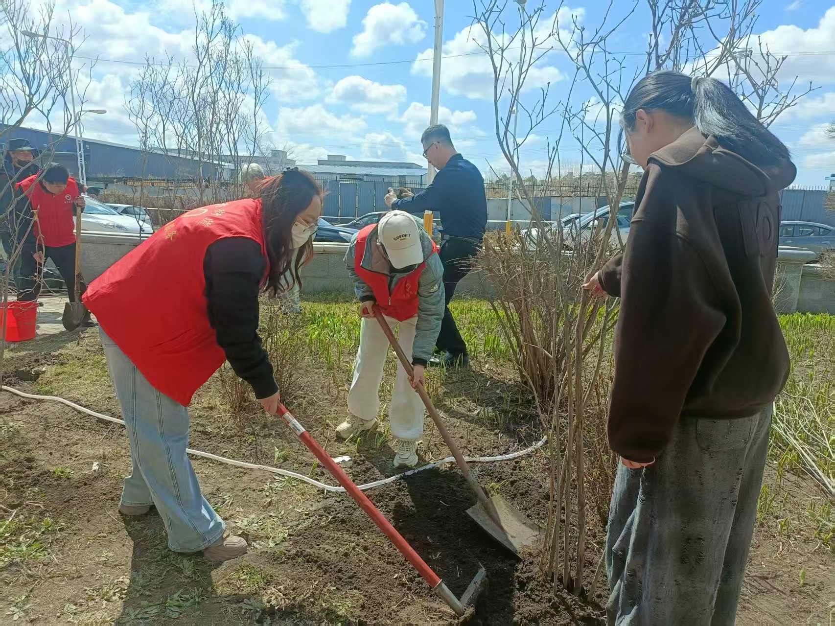 哈市香坊區哈紡社區156棵樹苗在2000平方米綠地上「安家」