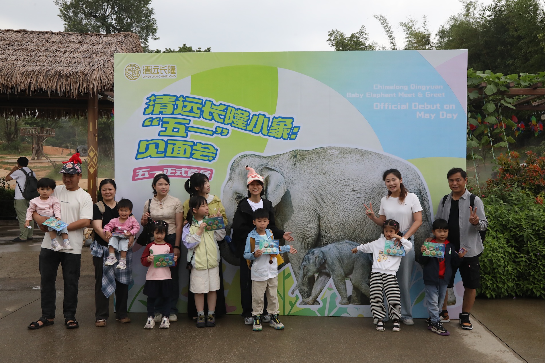 小象來了  清遠長隆森林王國新生亞洲象五一亮相