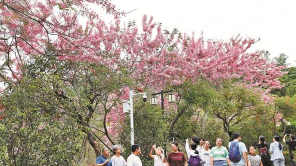 文化和旅遊部：鼓勵各地因地制宜延長熱門景區營業時間