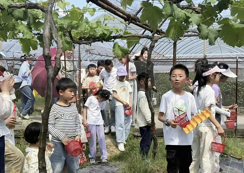 「親子游」熱度爆表  皖休寧五城鎮農文旅融合綻放新活力