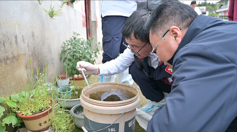 黃山市祁門縣：開展蟲媒監測演練  築牢疾病防控屏障