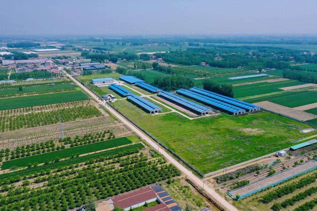 河南商丘：織密農村公路「幸福網」 繪就興業富民振興圖