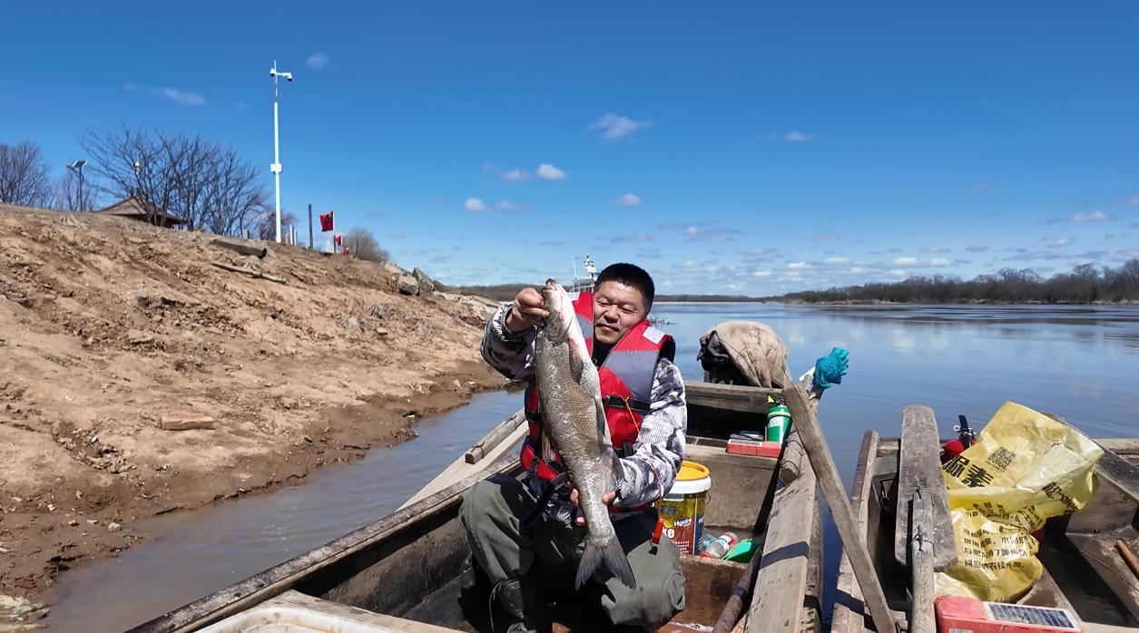 黑龍江虎林：江魚滿倉 生態向好