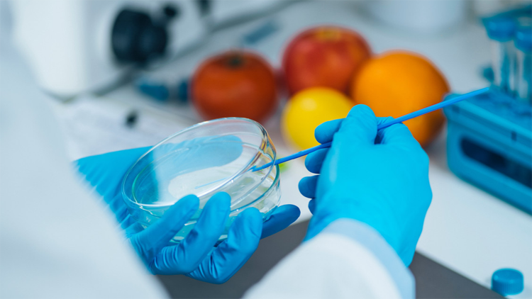 劍指虛假宣傳 市場監管部門開展網售食品專項整治