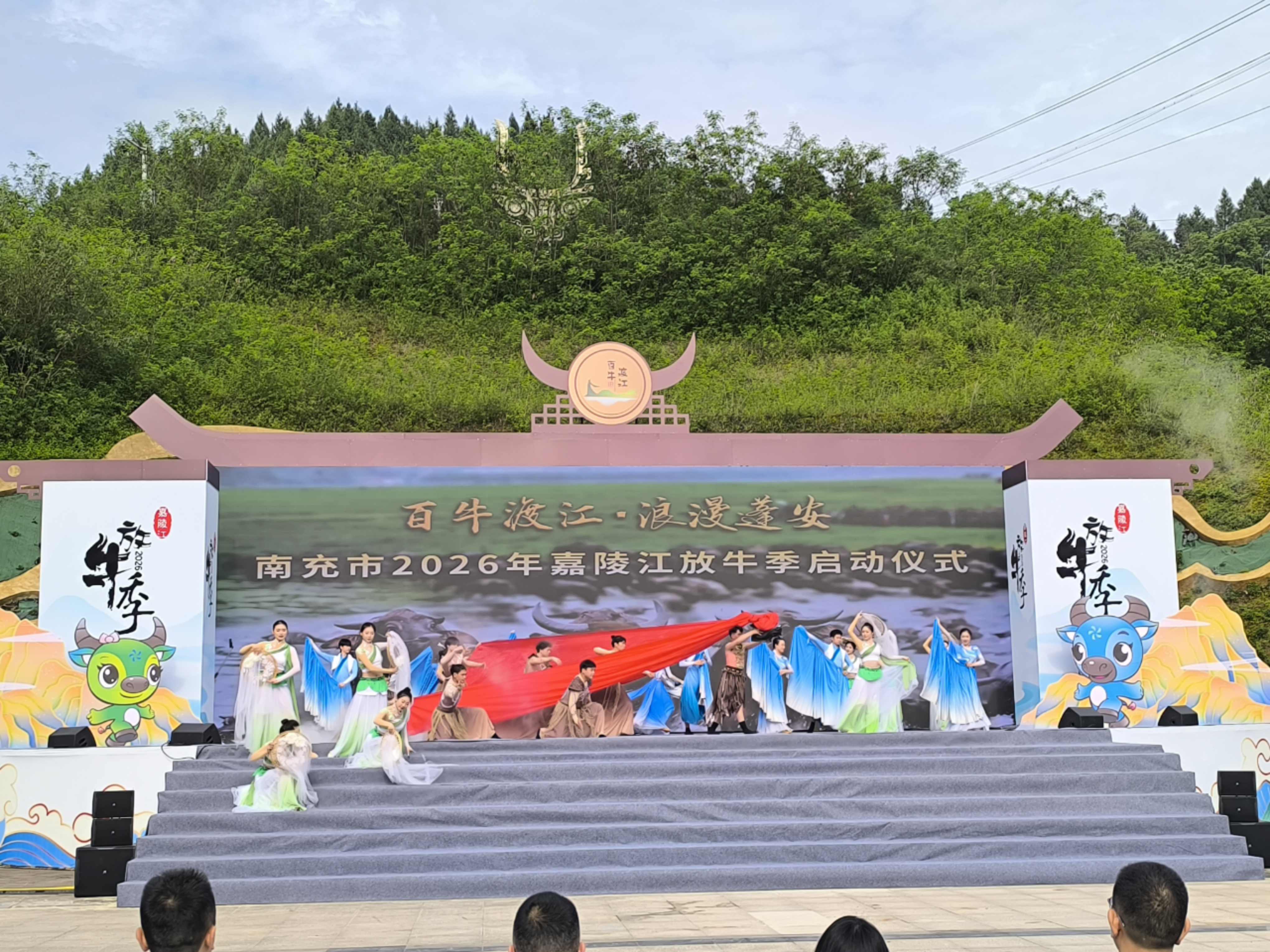 四川蓬安2026嘉陵江放牛季啟幕  百牛渡江奇觀再現江畔