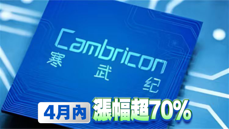 A股「股王」寒武紀漲停