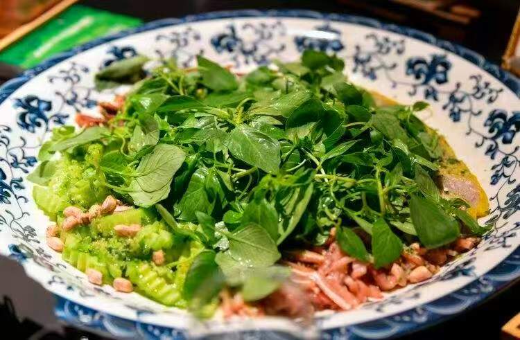 河南發佈荊芥文化共創平台 助力荊芥菜走出中原