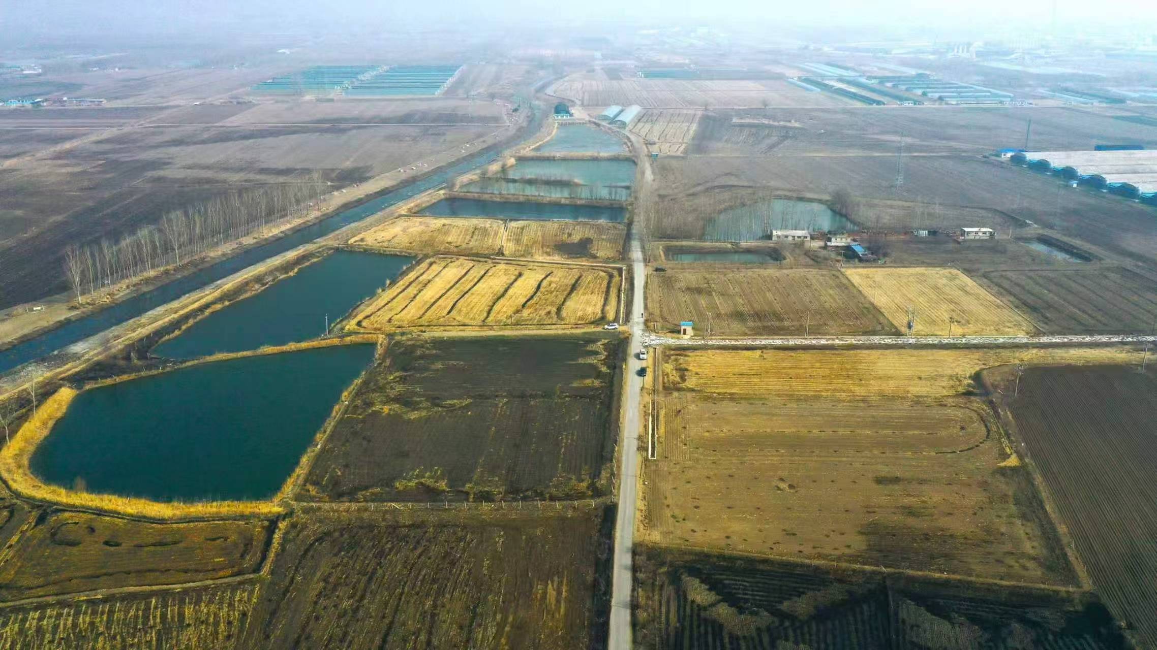 在漢央企助力衝刺春耕「黃金期」