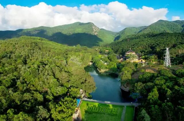 購物福利點燃消費熱潮 龍崗園山 「五一」 雙促惠民活動啟幕