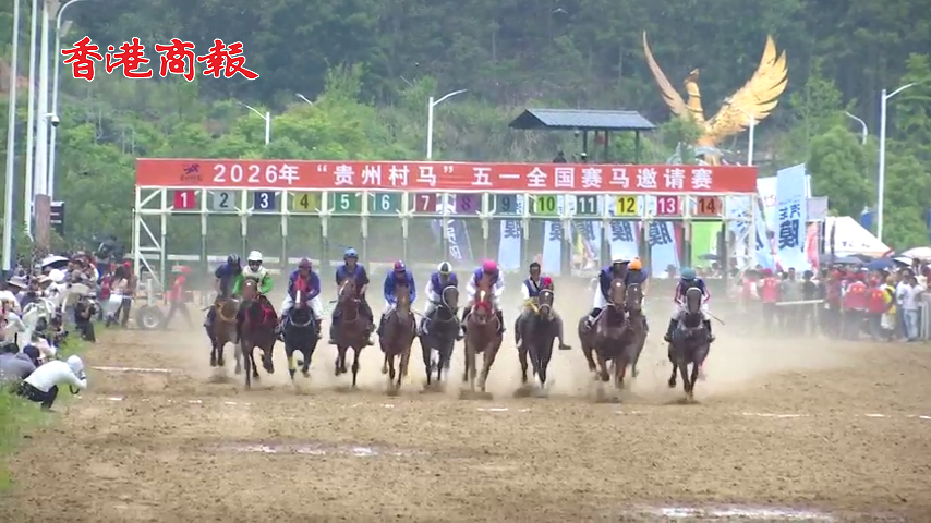有片丨「貴州村馬」馳騁五一  三都文體旅綻放新活力