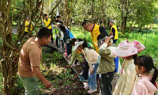 皖祁門縣：森呼吸趣運動  百草園奇妙游