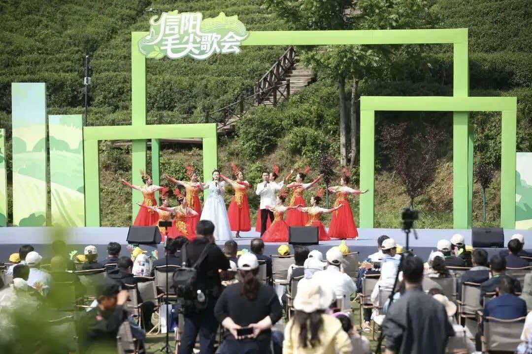 有戲、有景、有溫度，茶香引客更留客——第34屆信陽茶文化節「五一」圓滿收官
