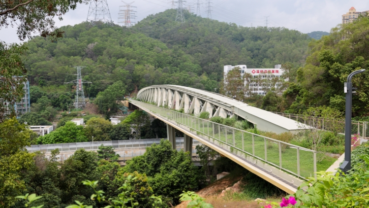 助粵企開新局！「粵質貸」一季度「貸」動超300億