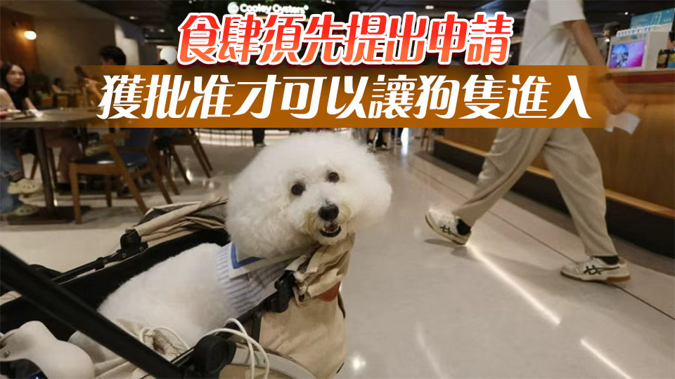 容許狗隻進入食肆本月18日起接受申請 料7月內實施