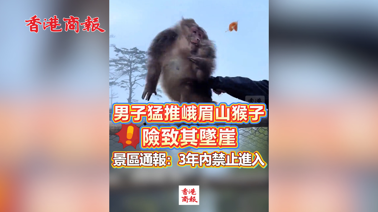 有片丨男子猛推峨眉山猴子 險致其墜崖 景區通報：3年內禁止進入！