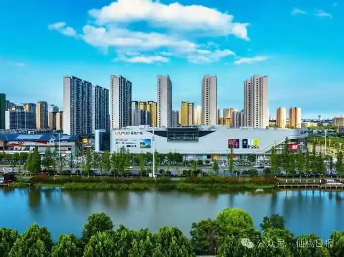 仙桃市委書記孫道軍主持研究優化營商環境工作
